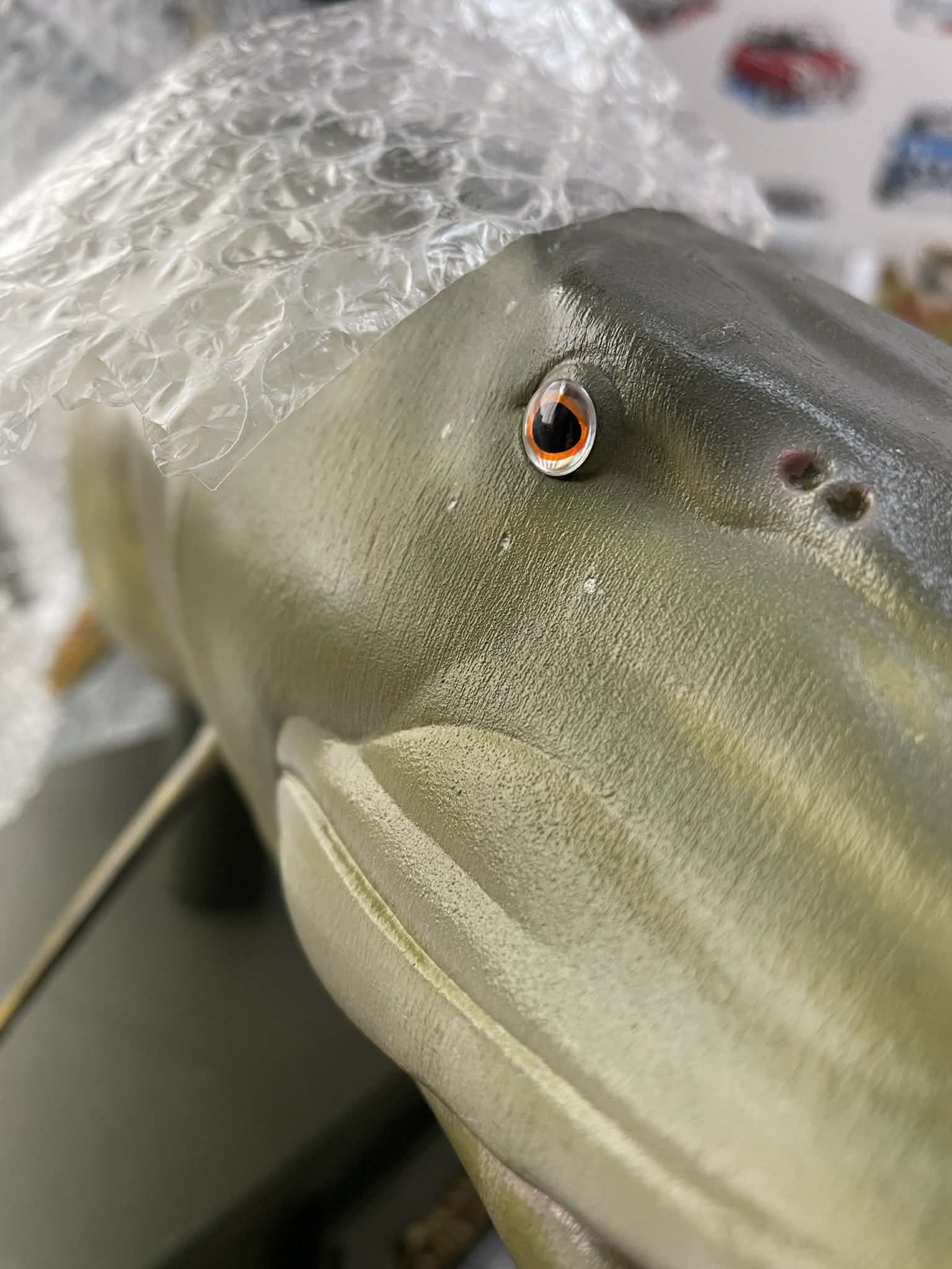 Hand painted eye detail on Northern Pike trophy